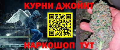 индика Моздок