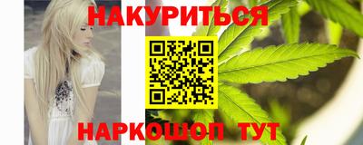 индика Моздок