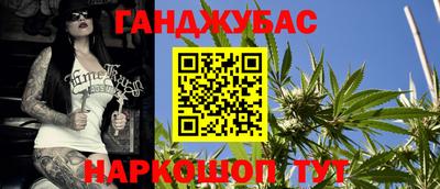индика Моздок