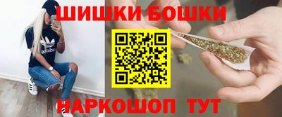 индика Моздок