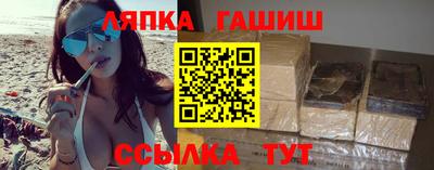 индика Моздок