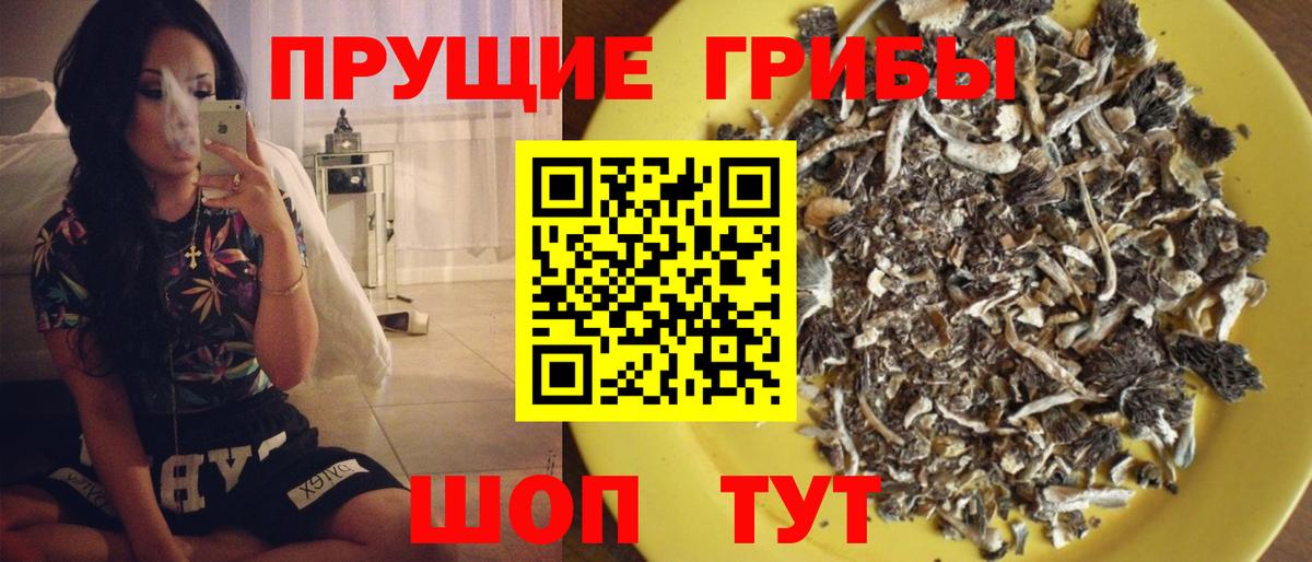 Псилоцибиновые грибы MAGIC MUSHROOMS  купить наркотик  Уварово  Вход с VPN  Галлюциногенные грибы GOLDEN TEACHER 